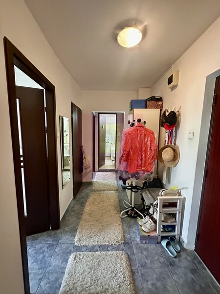 2 camere de vanzare Sebastian - Novaci